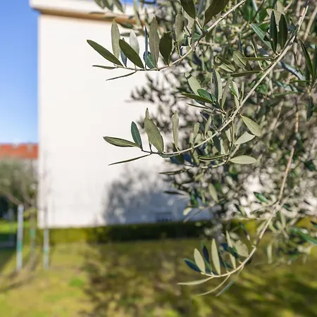 Apartament Nature *